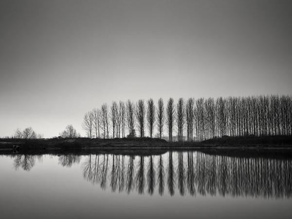 Pierre Pellegrini, Lento risveglio