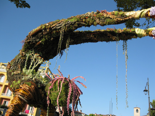 Natural Design, Floral Design, Terra Verde, Concorso Nazionale di Sculture Vegetale “Il Seme della Vita”