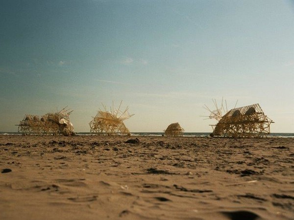 Theo Jansen, <em>STRANDBEEST</em>, <em>Animaris Percipiere Rectus</em> | © Loek van der Klis