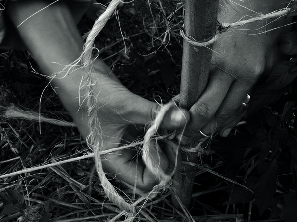 Denis Piel, Down To Earth