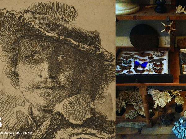 Rembrandt collezionista, Pinacoteca Nazionale di Bologna