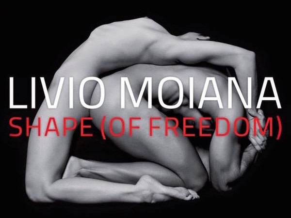 Livio Moiana. Shape (of freedom)