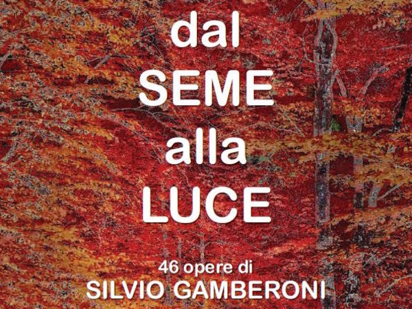 Dal seme alla luce. 46 opere di Silvio Gamberoni