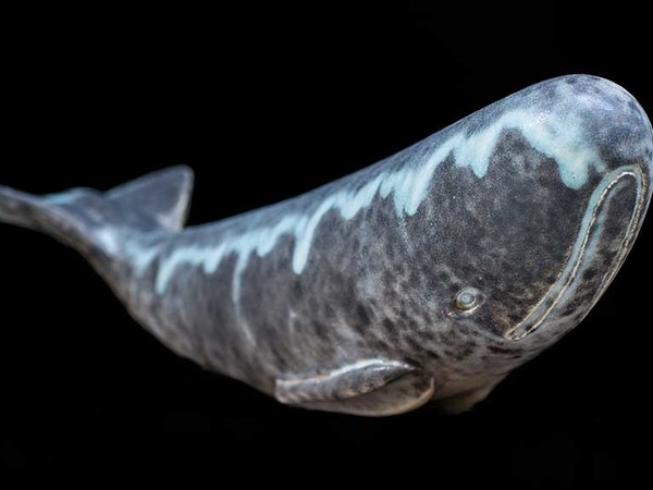 Tonino Negri. Il canto della balena