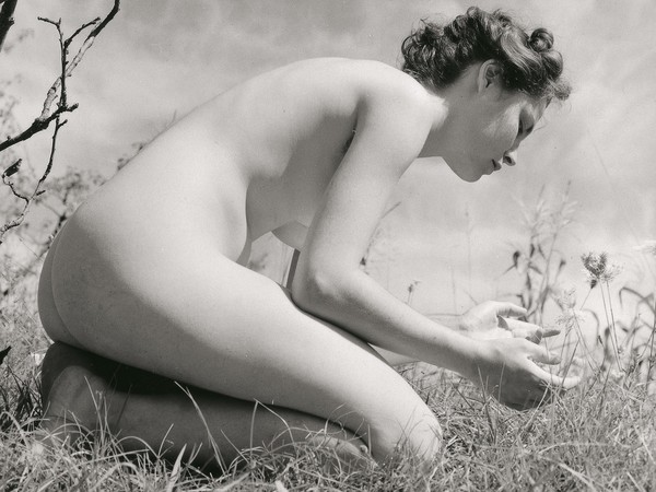 Fulvio Roiter, Senza titolo (nudo n. 5) | © Archivio Storico Circolo Fotografico La Gondola Venezia