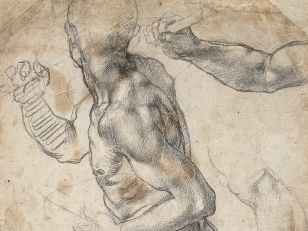 Michelangelo Buonarroti (1475 -1564), <em>Nudo maschile e dettagli anatomici</em>, 1504 o 1506, Gesso nero e bianco, Senza cornice 40.4 x 25.8 cm, Museo Teylers, Haarlem, Acquistato nel 1790 | Immagine © Teylers Museum, Haarlem EX.2020.1.3