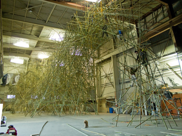 Big Bambù, Doug e Mike Starn, Museo Macro Roma 