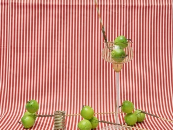 Annette Kelm, Apples 2, 2018 archival pigment print, framed 100 x 75 cm 102.6 x 77.8 x 4 cm (framed) Ed.: 6, II