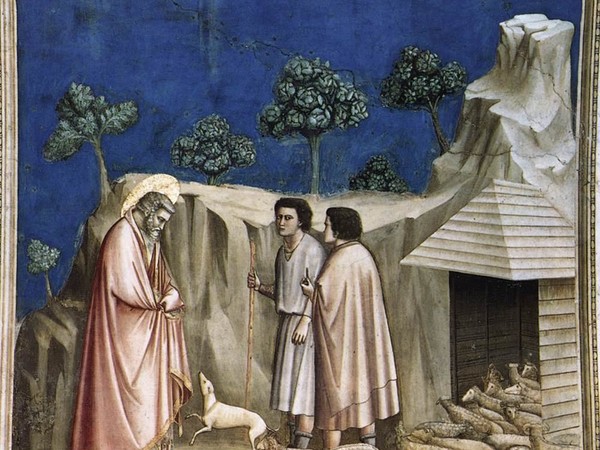 Giotto, Gioacchino tra i pastori, 1315-1325, affresco staccato, 252.5x132x3.2. Galleria dell'Accademia, Firenze