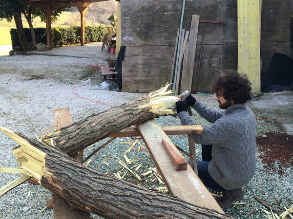 Mattia Bosco. Fiori violenti: fototropismo verso la forma