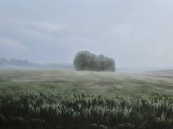 Franz Baumgartner, Nebele, 1, 2016, olio su tela, cm. 120x175Franz Baumgartner, Nebele, 1, 2016, olio su tela, cm. 120x175