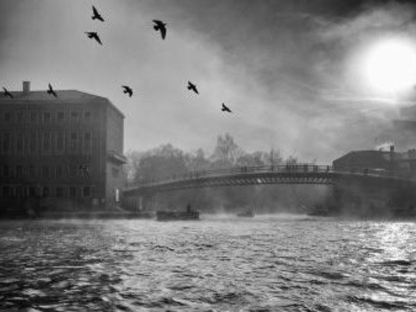 Al volo. Fotografie di Matteo Chinellato