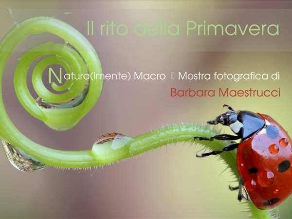 Il rito della Primavera | Natura(lmente) Macro