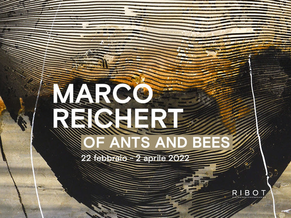 Marco Reichert. of ants and bees, RIBOT arte contemporanea, Milano