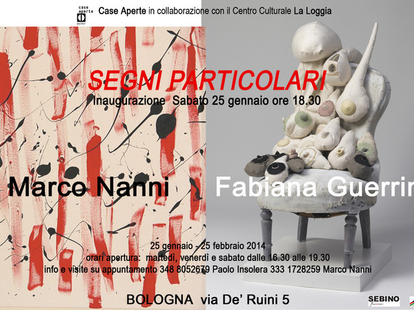 Marco Nanni, Fabiana Guerrini. Segni particolari, Bologna