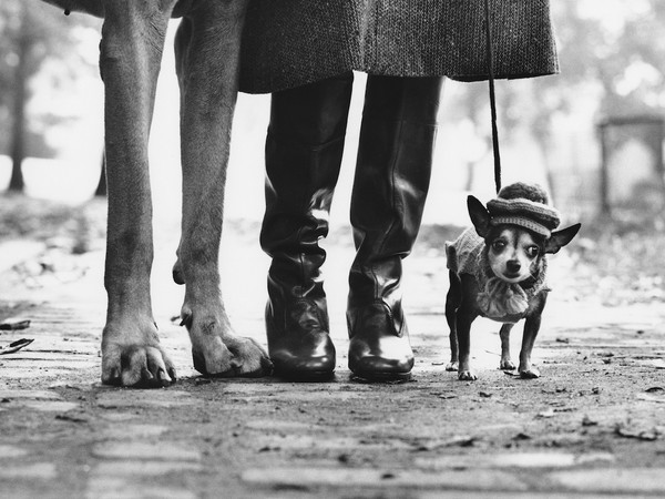 Elliott Erwitt, <em>USA, New York City, 1974</em> | © Elliott Erwitt<br />