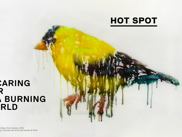 HOT SPOT – Caring For a Burning World, Galleria Nazionale d’Arte Moderna e Contemporanea, Roma