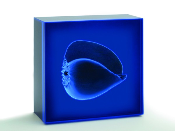 Giulio De Mitri, Azzurro I, 2006, tecno – light box, cm 100x100x13. Installazione ambientale