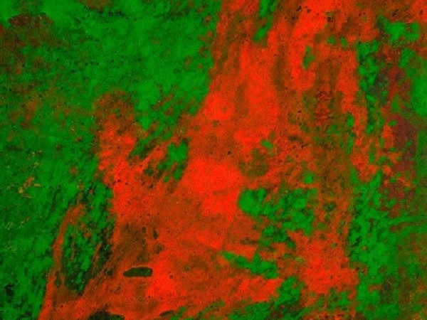 Daniele Innamorato, GREEN-RED (Cellophane series), acrylic on canvas,cm 200x175, 2014