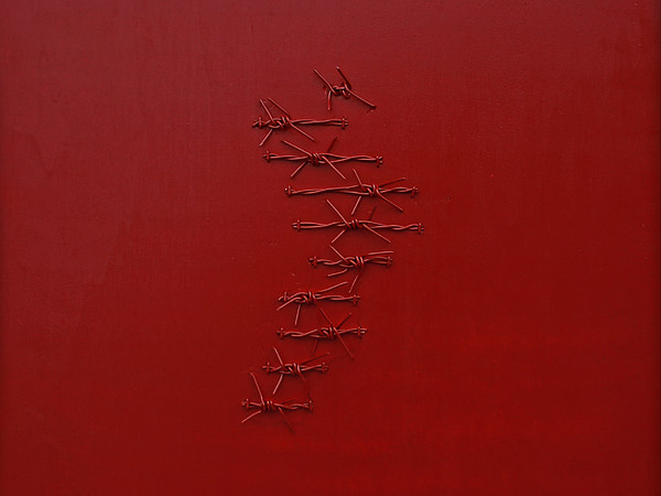 Luca Granato, La Zona Rossa, 50x50 cm., filo spinato su multistrato