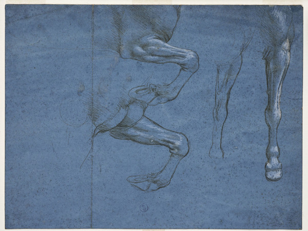 Leonardo da Vinci, <em>Studio della muscolatura degli arti anteriori del cavallo</em>, ca. 1490. Torino, Musei Reali, Biblioteca Reale
