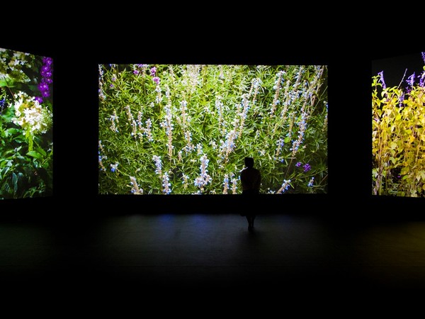 Quayola, Jardins d’Été, 4k video. Installation view at Opificio 31 in Milan as part of Milan Design Week – IQOS Pathfinder Project – Jardins d’Eté by Quayola 