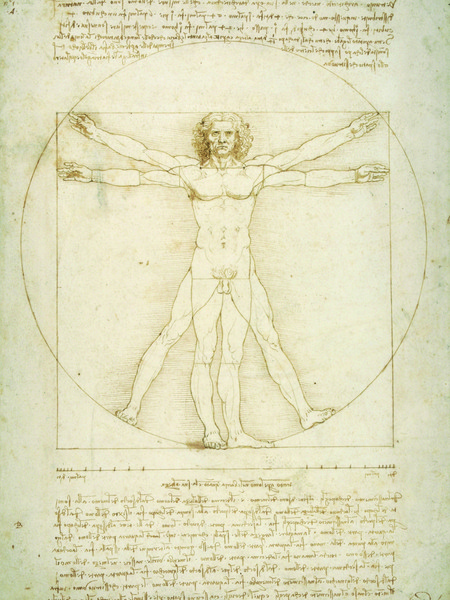 Leonardo Da Vinci, Le proporzioni del corpo umano (Uomo Vitruviano), Venezia, Gallerie dell’Accademia