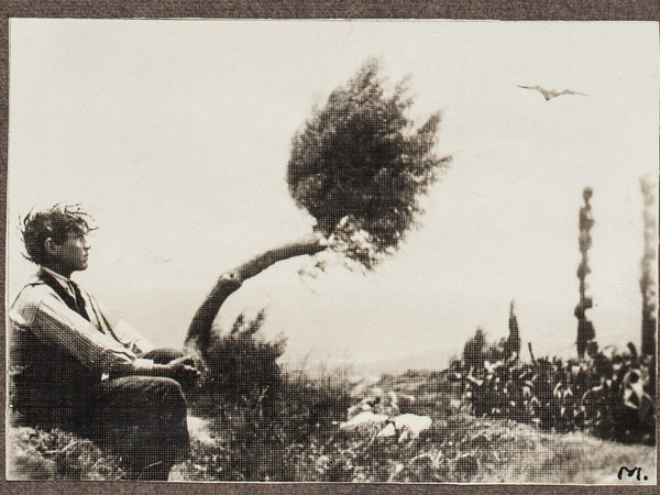 Enrique Masías, Giovane e arbusto, paesaggi in piccolo formato, Arequipa, ca.1915-1919, 56x79 mm