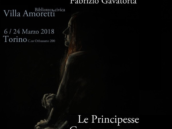 Fabrizio Gavatorta, Le principesse contemporanee, Biblioteca civica Villa Amoretti, Torino