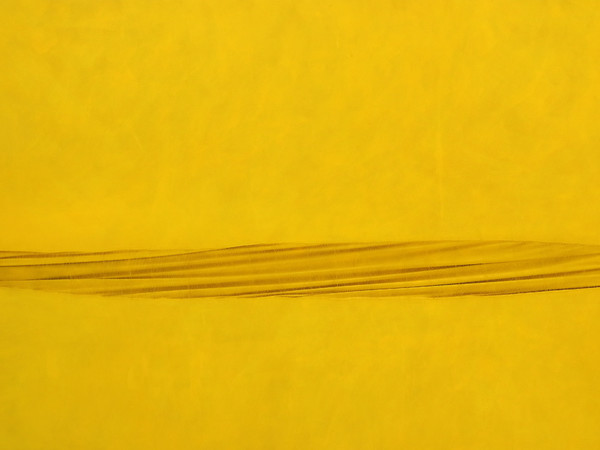 Sidival Fila, Metafora giallo 1550, 2011, pigmenti secchi su tela cucita, su telaio, 200x300 cm.
