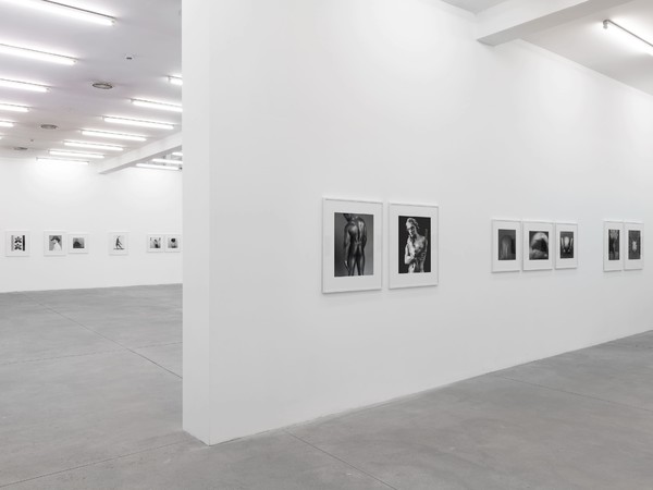 Robert Mapplethorpe, Galleria Franco Noero, Torino