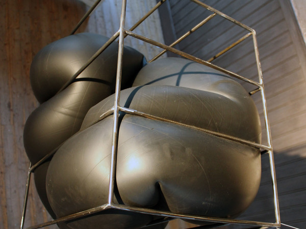 Noa Pane, Nature in a cage, 2014, serie Costriction, camera d'aria e ferro