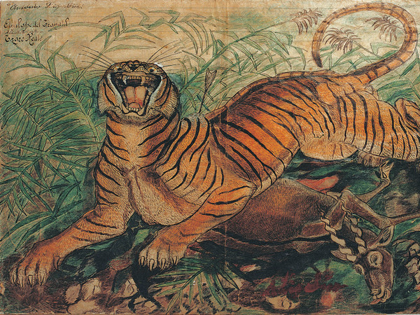 Antonio Ligabue, Tigre reale, 1941, China e pastelli a cera su carta intestata dell’Ospedale Psichiatrico San Lazzaro di Reggio Emilia, 36 x 50 cm
