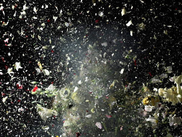 Ori Gersht, Blow up N. 8, 2007