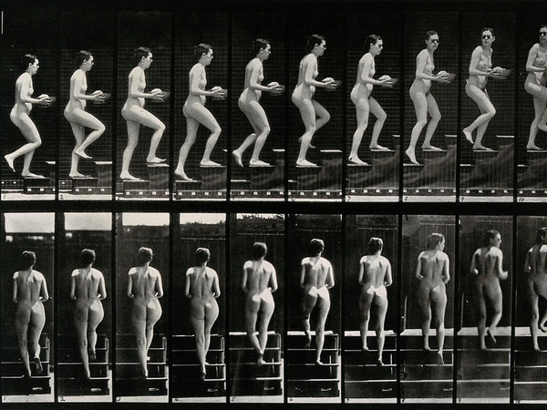 Eadweard Muybridge, A woman walking up stairs bearing a bowl, 1887, Wellcome Library di Londra | © Wellcome Images