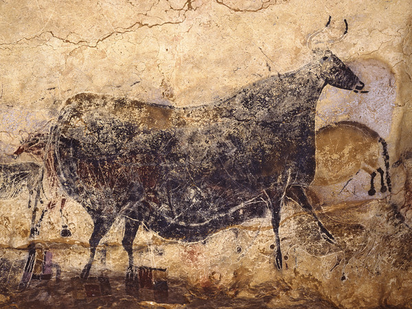 Lascaux 3.0, Grande Vache Noire | Courtesy MANN - Museo Archeologico Nazionale di Napoli 2020