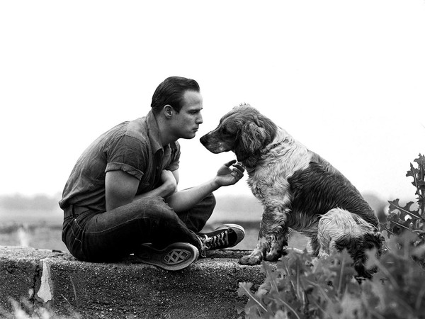 Art Shay, Brando and the Family Dog, 1950. Silver Gelatin Print, 16 x 20 inches 