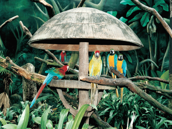 Armin Linke, Jurong Bird Park, Singapore, 1999 – 2021