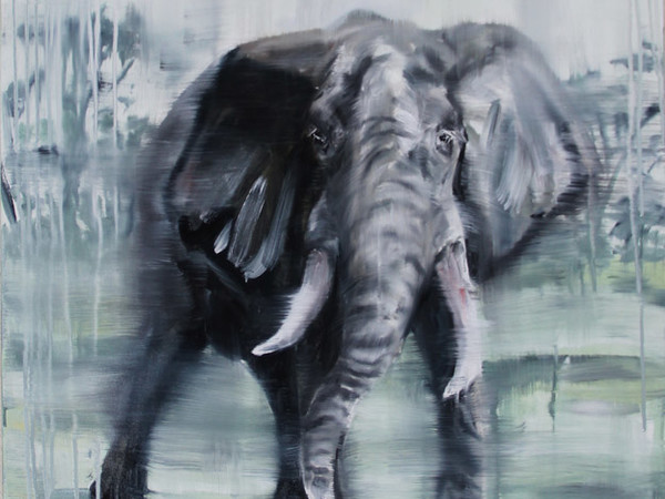 Tiziana Pers, Elephant Song