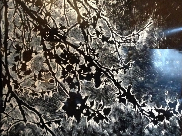 Alessio Girella, Foglie, 2016, silicati e smalti su lastra rafiografica, 100x100 cm