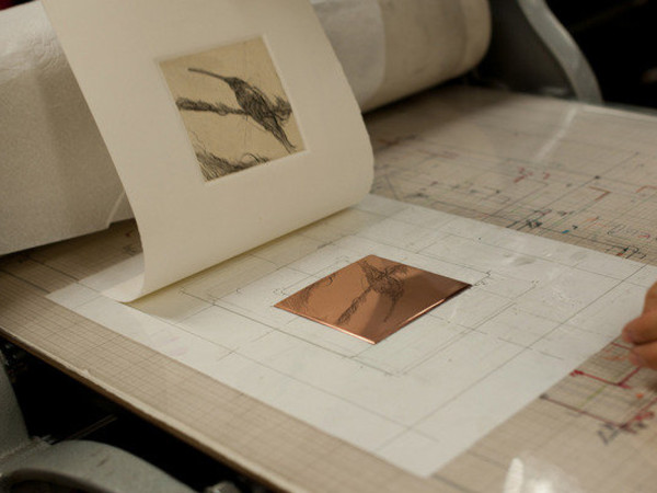 Un mare d'inchiostro, Sala delle Esposizioni - Accademia delle Arti del Disegno, Firenze