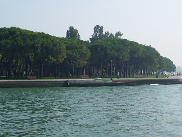 Pineta di Sant’Elena (Parco delle Rimembranze)