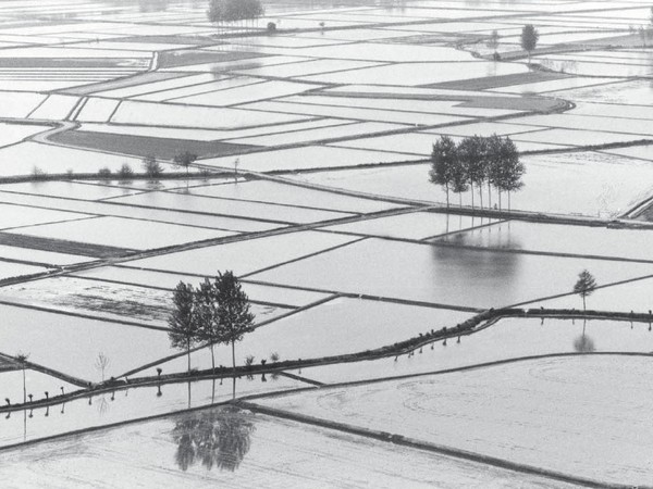 Gianni Berengo Gardin. Il racconto del riso, Forma Galleria, Milano