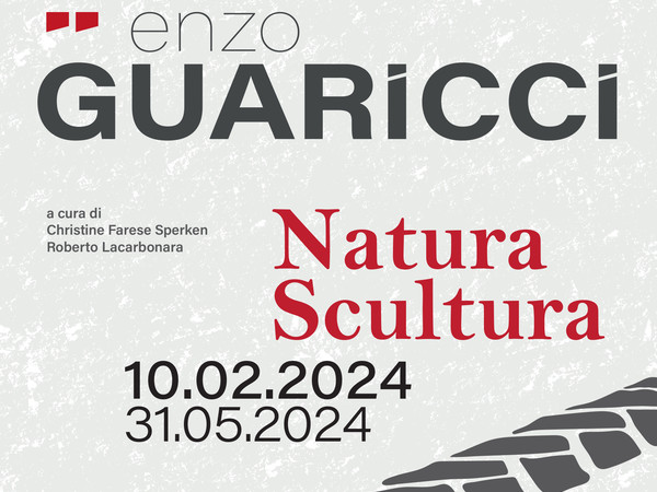 Enzo Guaricci. Natura Scultura, Pinacoteca Metropolitana “Corrado Giaquinto”, Bari