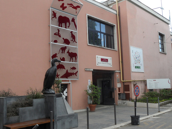 Museo Civico di Zoologia, Roma