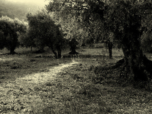 Giovanna Gammarota, Sopraluoghi in Lucania. Sulle tracce del Vangelo Secondo Matteo di Pier Paolo Pasolini