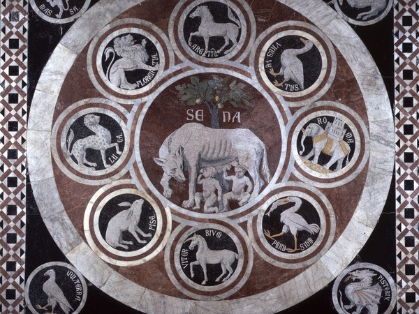 Particolare del Pavimento del Duomo di Siena: Lupa