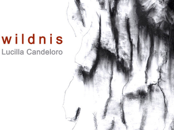 “Wildnis” di Lucilla Candeloro