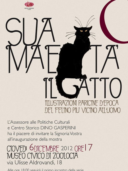 Sua Maestà il Gatto, Museo Civico di Zoologia, Roma