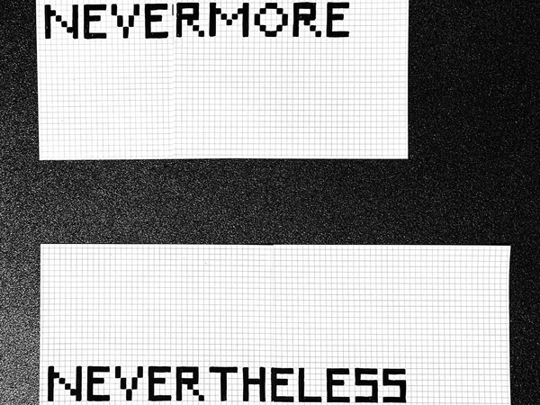 Sasha Marshani | Nevermore Nevertheless, Edicola Radetzky, Milano